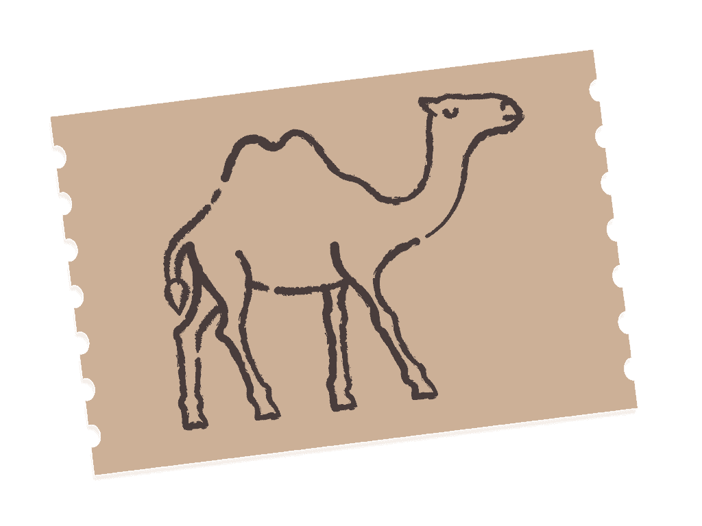 Camel